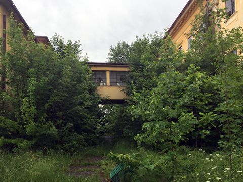 Foto 48